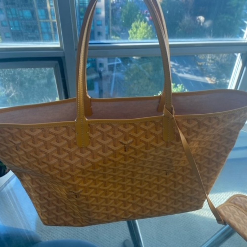 Goyard St Louis PM